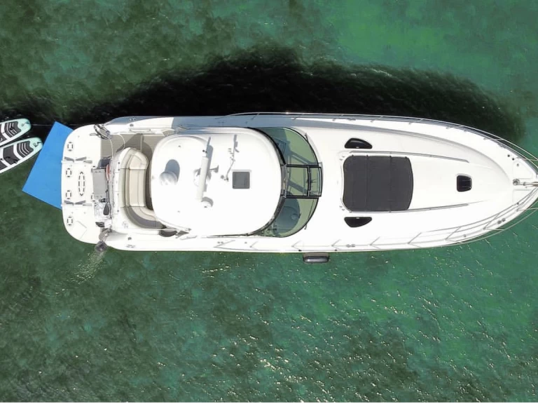 Yacht hire Miami Beach cheap Sea Ray 54