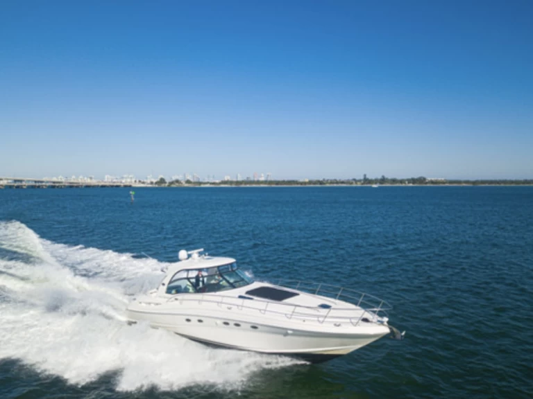 Hire Luxury Yacht with or without skipper Sea Ray Miami Beach