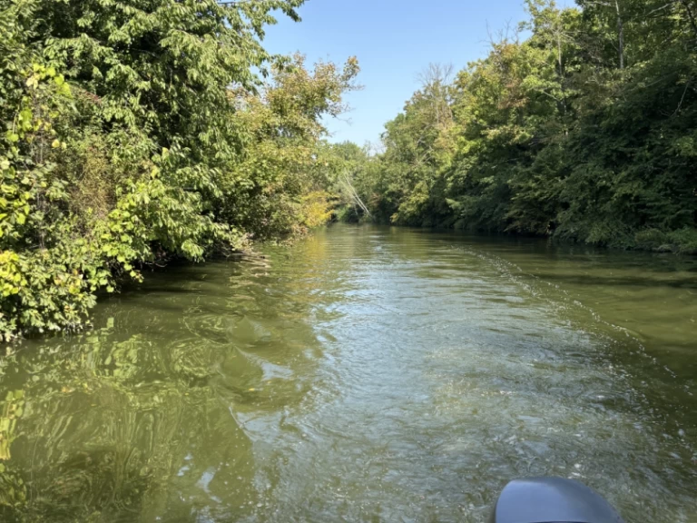 Hire Motorboat Jeanneau with a boat licence