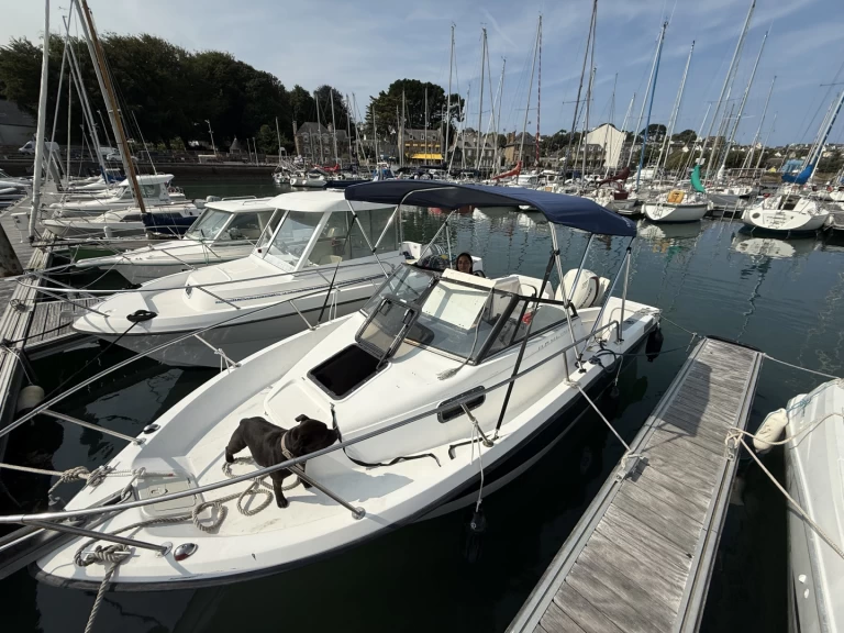 Hire a Bayliner Trophy 2002 Perros-Guirec