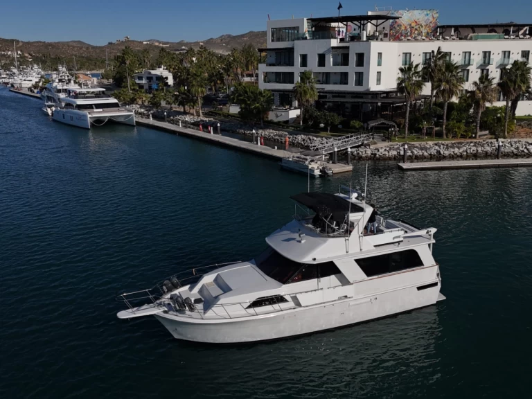 Charter a Chris Craft Constellation 55 in San José del Cabo on Samboat