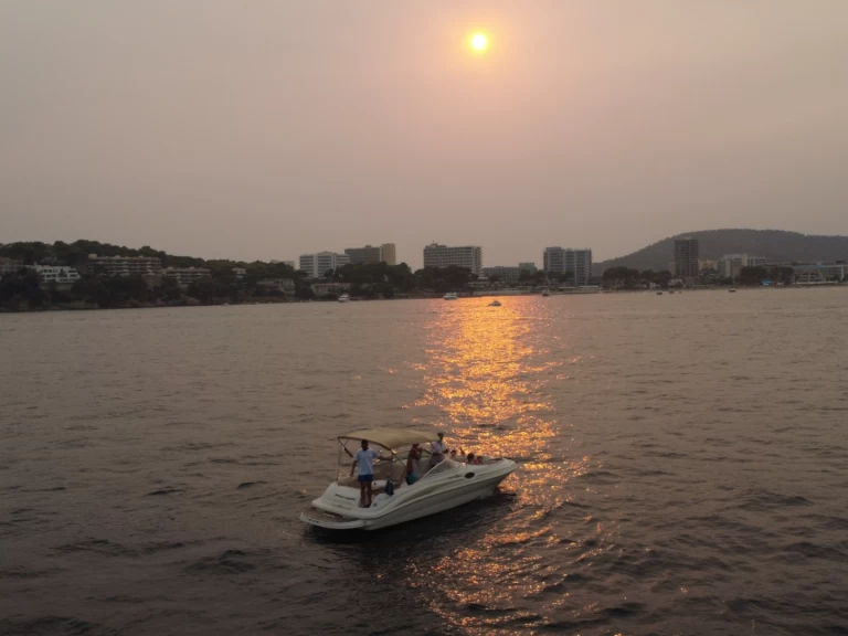 Hire a Sea Ray Sea Ray 240 Sundeck Palma de Mallorca