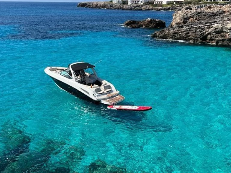 Hire Motorboat Sea Ray with a boat licence