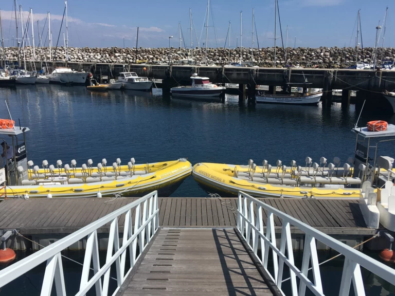 Vanguard TX 860 charter bareboat or skippered in  Sesimbra