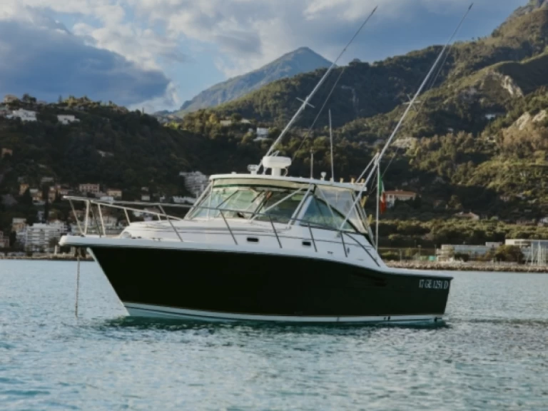 Motorboat hire in Monaco - PURSUIT  3400 "Express"