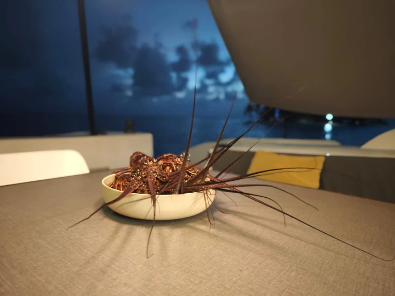 Hire Catamaran Oyacht with a boat licence