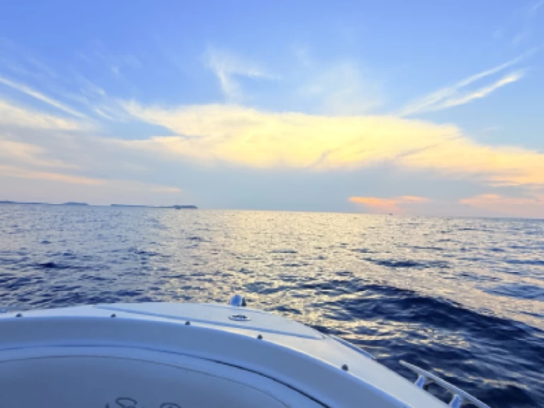 Hire Motorboat with or without skipper Sea Ray Sant Antoni de Portmany