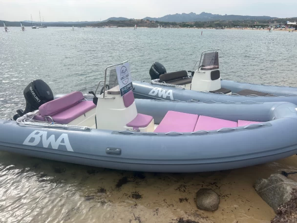 Hire RIB with or without skipper Bwa Palau