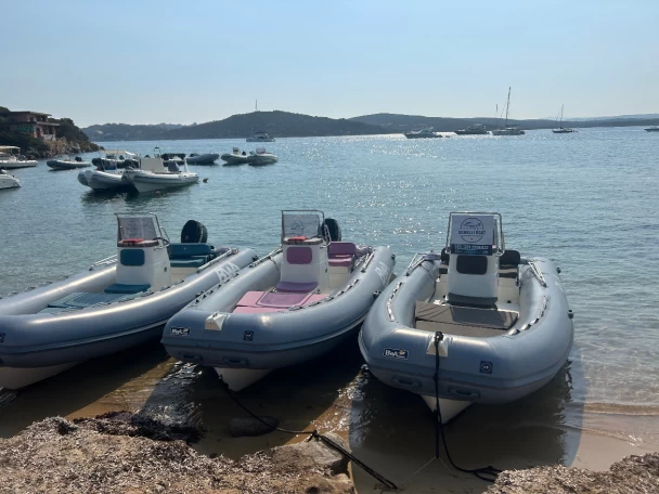 Hire RIB Bwa with a boat licence