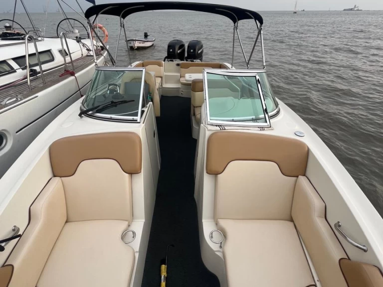 Yacht charter Mumbai - Sea Ray Sea Ray SDX 290 on SamBoat