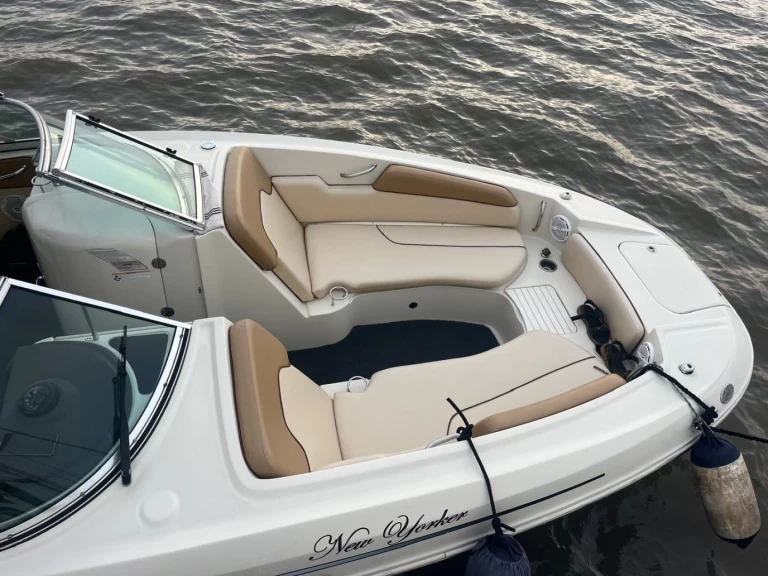 Motorboat hire in Mumbai - Sea Ray Sea Ray SDX 290