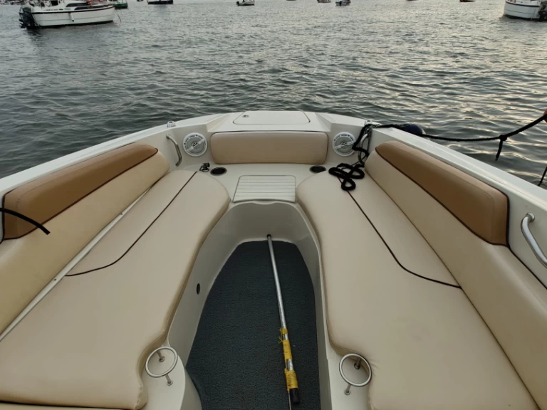Hire Motorboat with or without skipper Sea Ray Mumbai