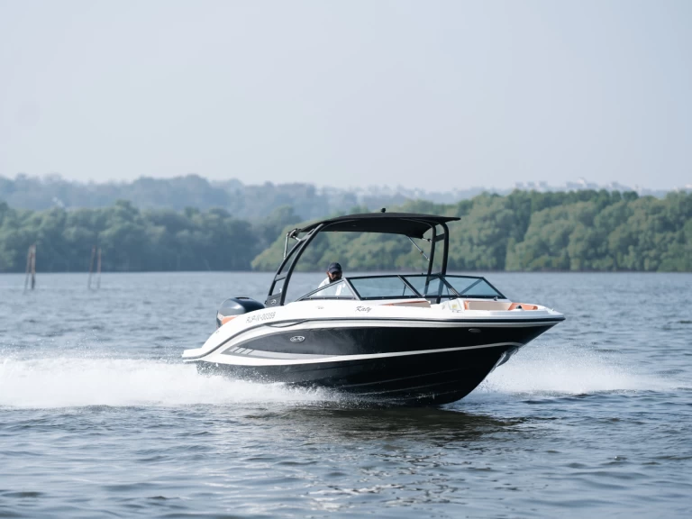 Sea Ray Sea Ray SPX 210 charter bareboat or skippered in  Panjim