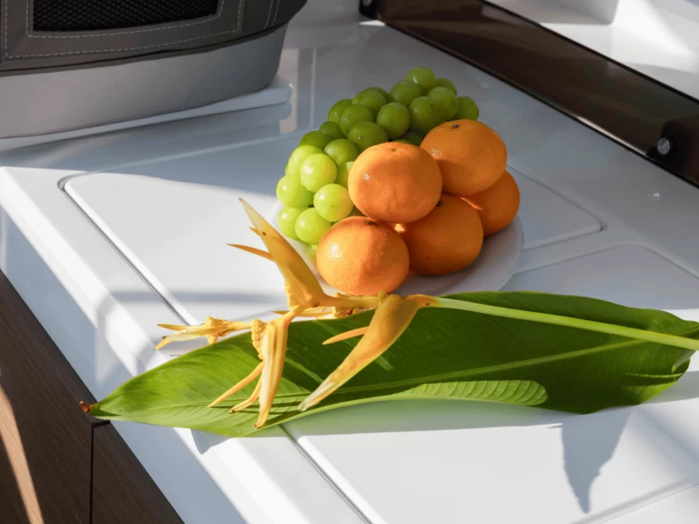 Hire Motorboat Jeanneau with a boat licence