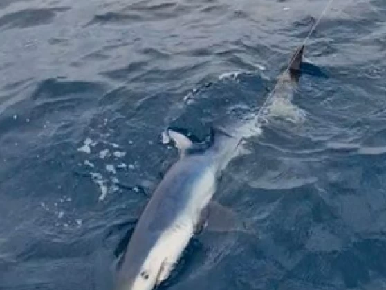 Hire Motorboat Ocqueteau with a boat licence