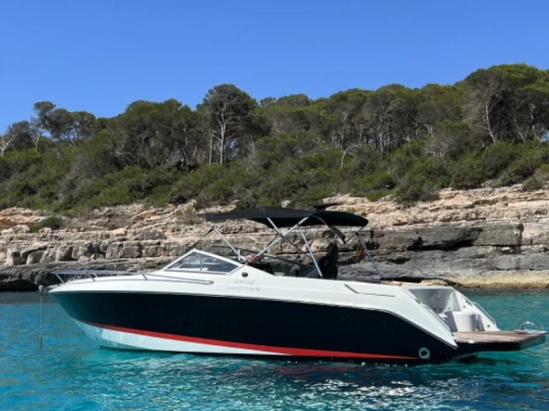 Motorboat hire in Cala d'Or - Wellcraft OPEN