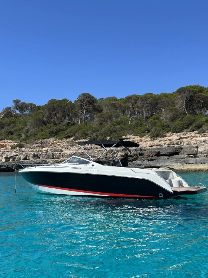Motorboat hire in Cala d'Or - Wellcraft OPEN