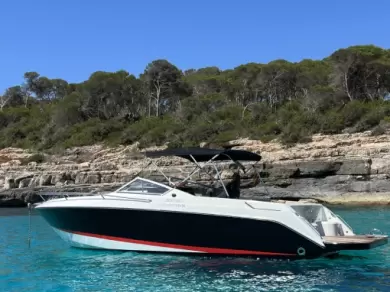 Motorboat hire in Cala d'Or - Wellcraft OPEN