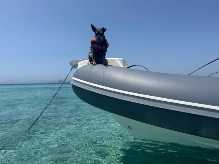 Bwa 24 Sporty RIB charter bareboat or skippered in  Ibiza Town