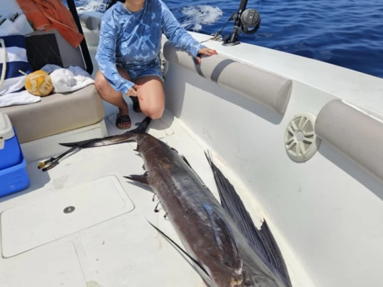 Hire Motorboat with or without skipper Touring 24 Kendhoo