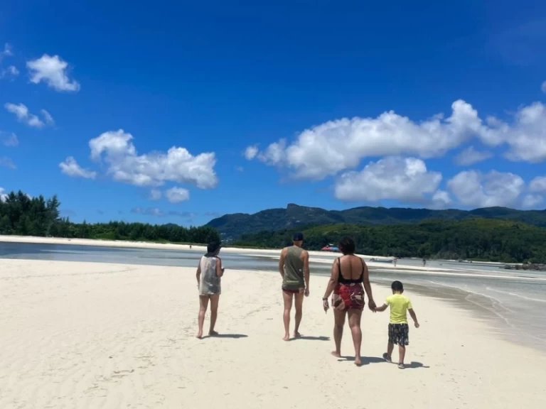 Motorboat hire in Mahé - Wellcraft Scarab 302 Sport