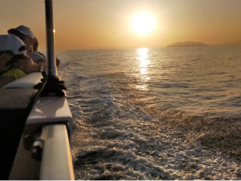 Yacht charter Milazzo - Swiss-Boat/Italy Boat Funlounger 8.5 on SamBoat