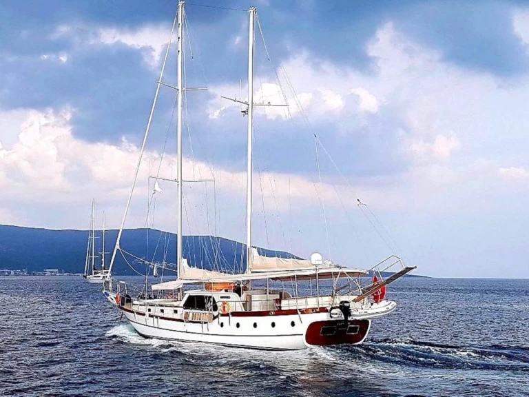 Charter a Custom Made Elifim 11 in Bodrum on Samboat