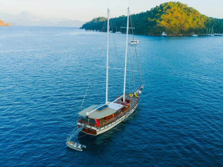Custom Made Eylul charter bareboat or skippered in  Bodrum