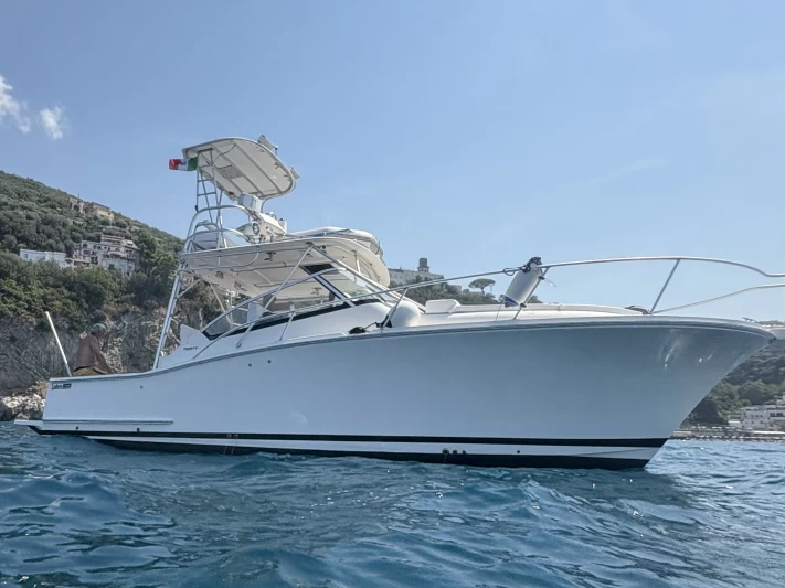 Motorboat hire in Forio - Luhrs 30 Open