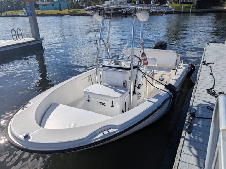 Hire Motorboat Boston Whaler with a boat licence