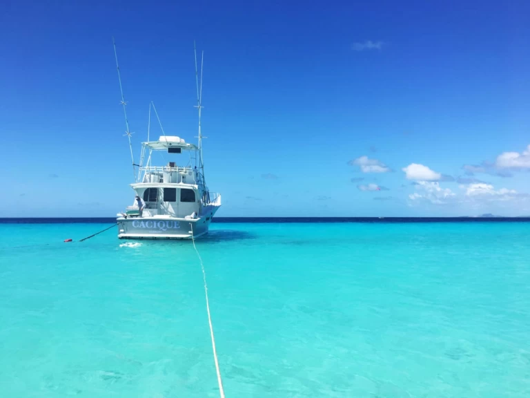 Yacht charter Willemstad - costume 45 on SamBoat