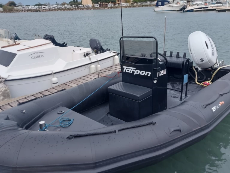 Hire RIB Tarpon with a boat licence