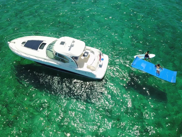 Hire a Sea Ray 42 Miami Beach