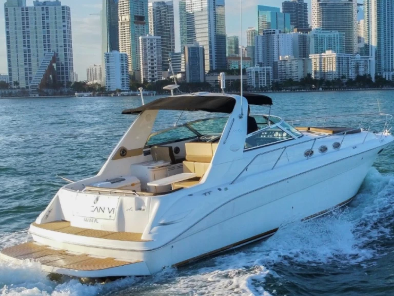 Hire Luxury Yacht Sea Ray with a boat licence