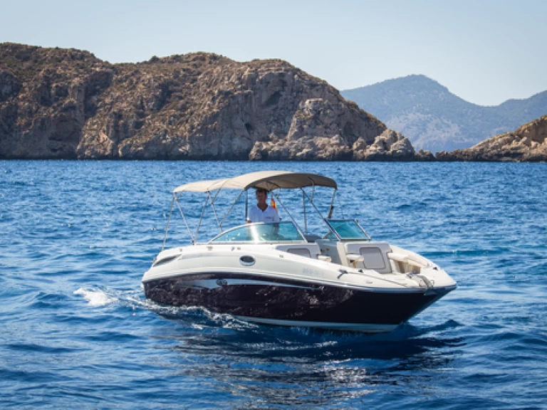 Hire Motorboat with or without skipper Sea Ray El Toro