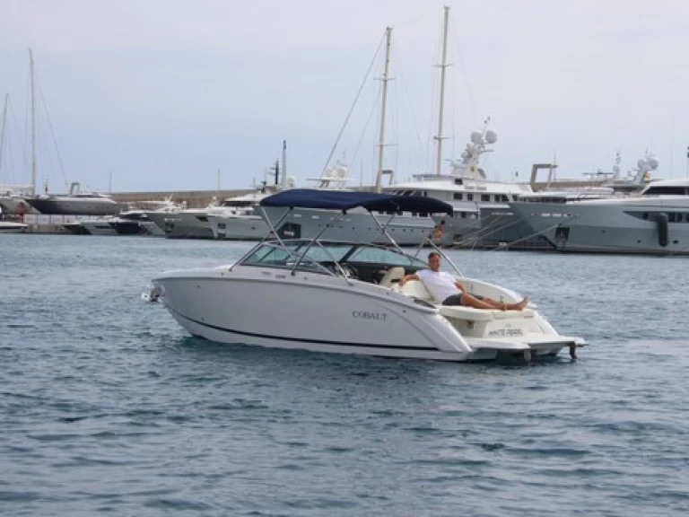 Yacht charter El Toro - Cobalt R5 on SamBoat