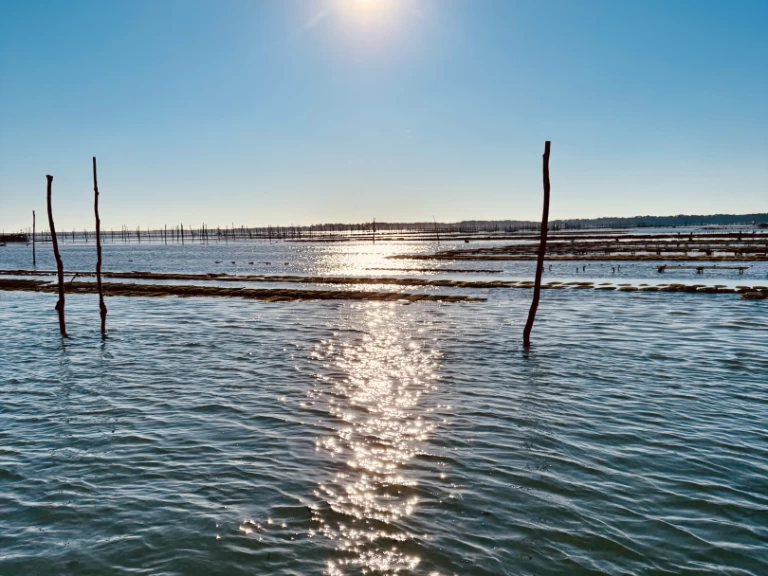 Yacht charter France - Beacher Beacher 840 on SamBoat