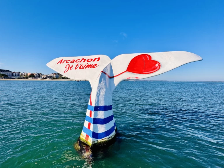 Hire a Beacher Beacher 840 France