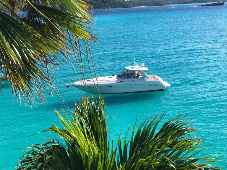 Luxury Yacht hire in Tortola - Sea Ray Sea Ray 525 Sundancer