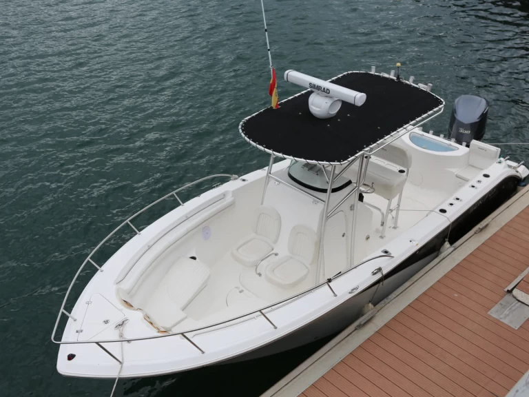 Hire Motorboat SEAFOX with a boat licence