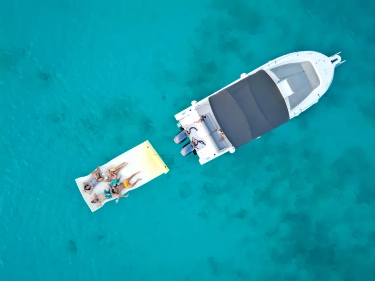 Yacht charter Marigot - White Shark White Shark 265 on SamBoat