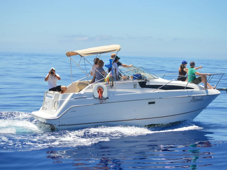 Charter a Bayliner Bayliner 2355 Ciera in Calheta on Samboat