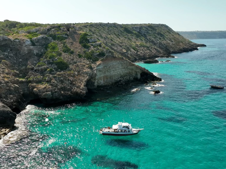 Yacht charter s'Arenal - palma 1 on SamBoat