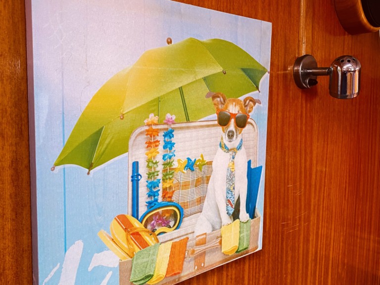 Yacht charter Lefkáda - Bavaria Bavaria 42 Cruiser on SamBoat