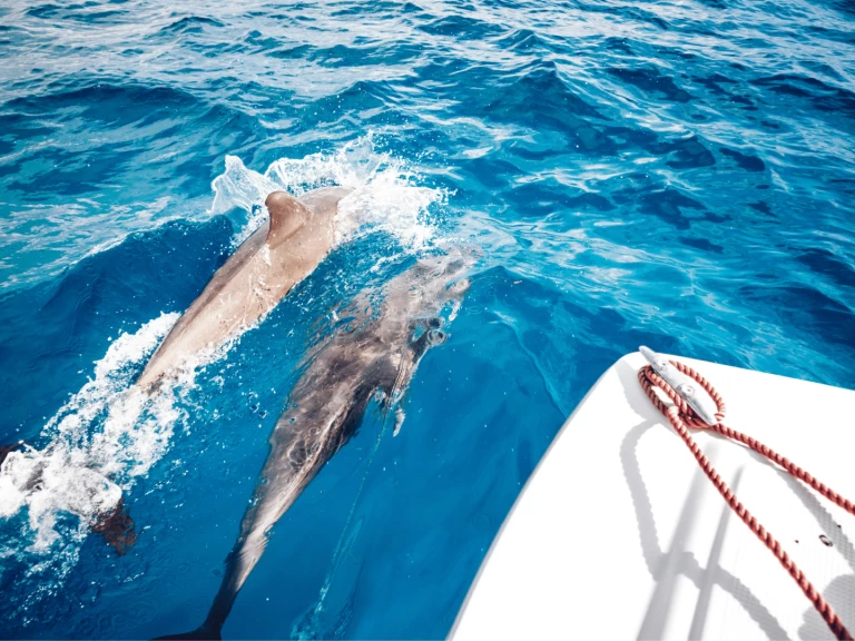 Charter a Custom Made Custom made in Kendwa on Samboat