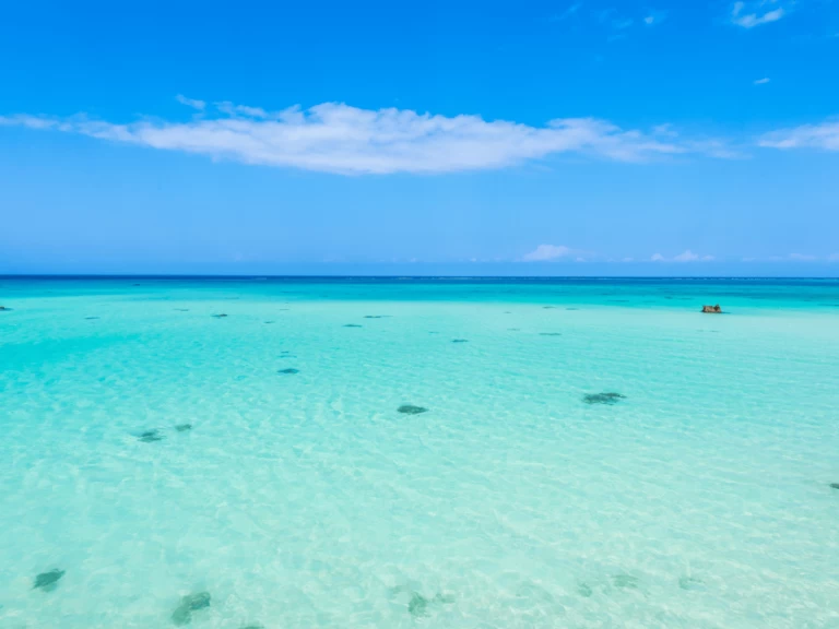 Hire Catamaran with or without skipper Custom Made Kendwa