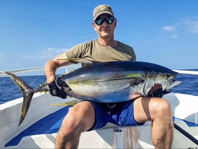 Custom Made Custom made charter bareboat or skippered in  Kendwa