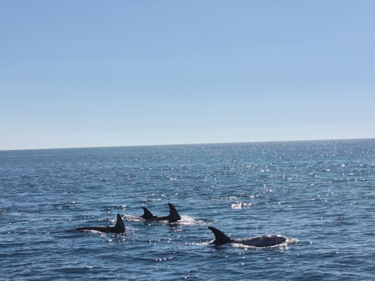 Hire a Fountaine Pajot FP 44 Portimão