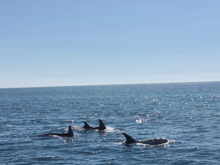 Hire a Fountaine Pajot FP 44 Portimão