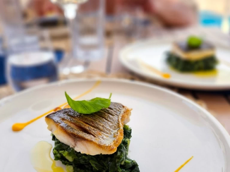 Hire Catamaran with or without skipper Sunreef Rogoznica